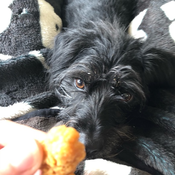 Meet your Posher, Evan - Picture 1 of 1